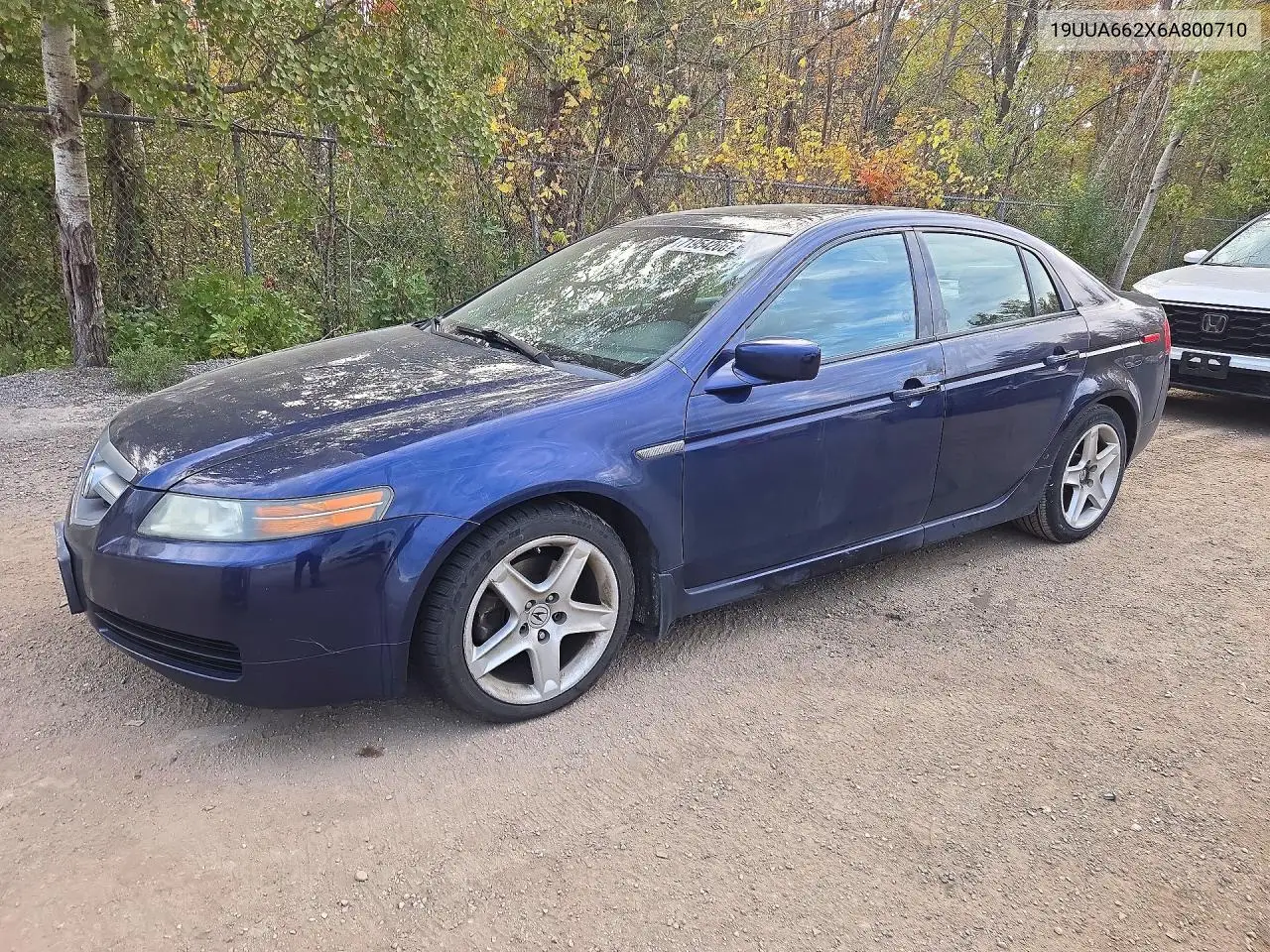 ACURA TL 2006, VIN 19UUA662X6A800710