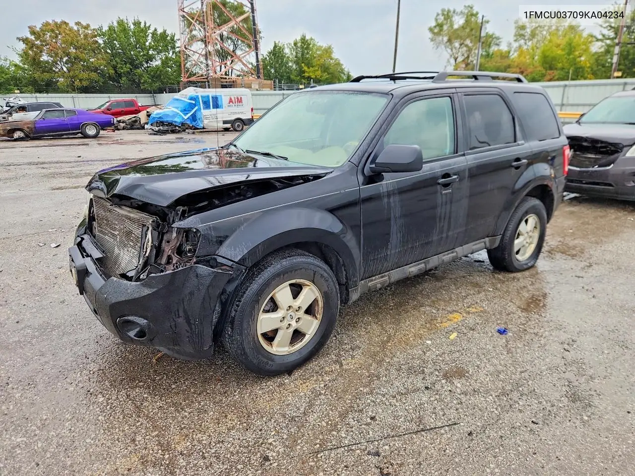 FORD ESCAPE 2009, VIN 1FMCU03709KA04234