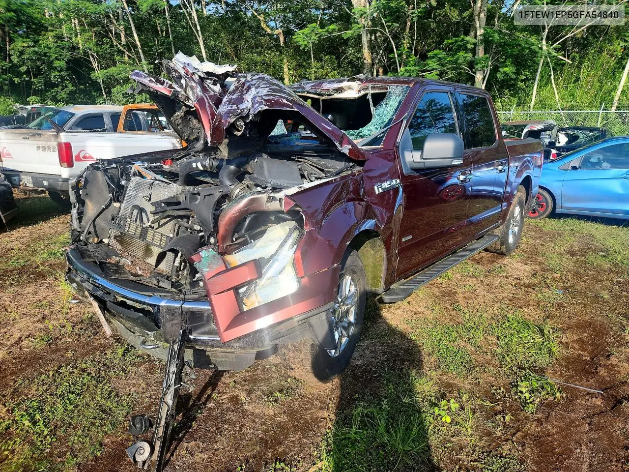 FORD F-150 2016, VIN 1FTEW1EP5GFA54840
