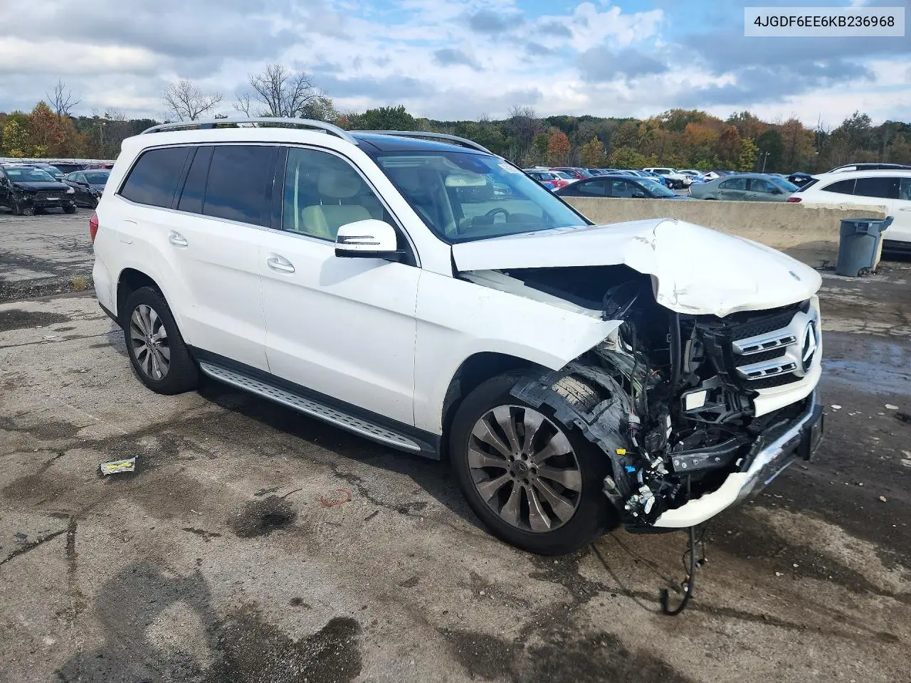 2019 MERCEDES GLS-KLASSE VIN 4JGDF6EE6KB236968 — фото 4