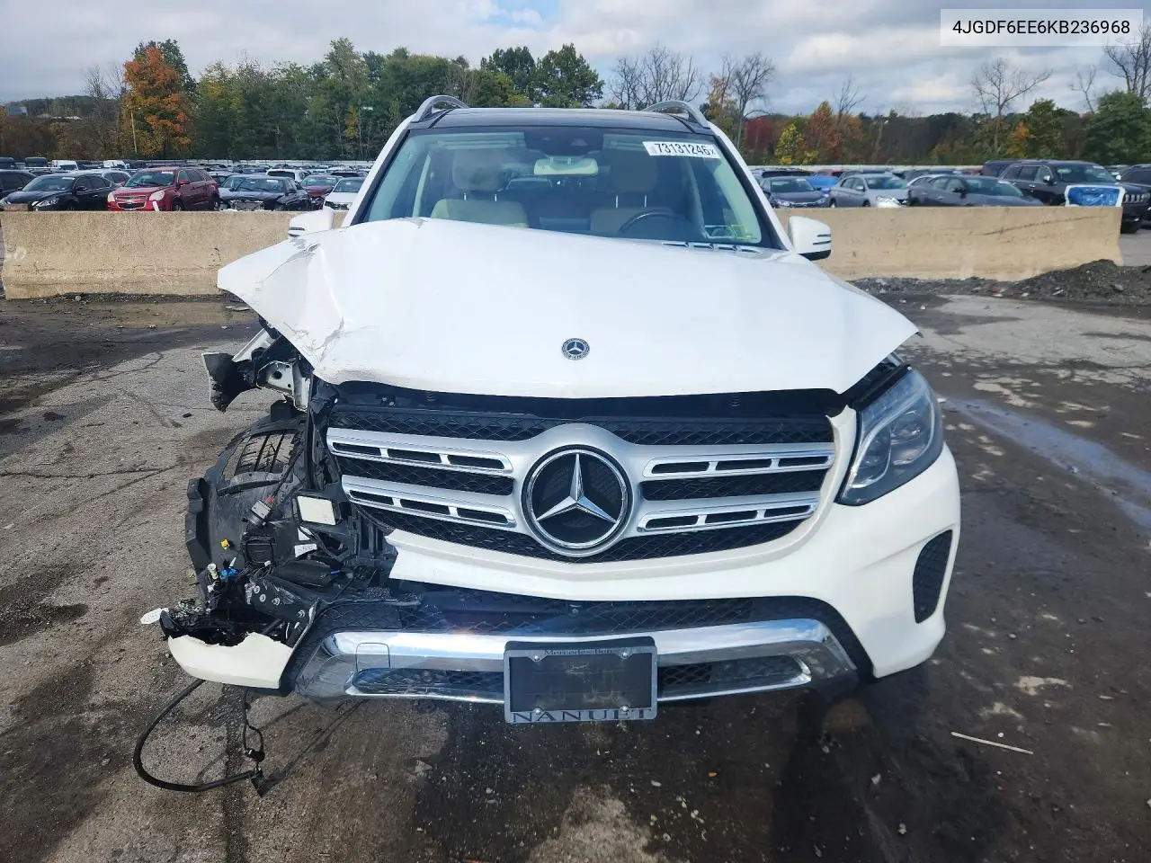 2019 MERCEDES GLS-KLASSE VIN 4JGDF6EE6KB236968 — фото 5