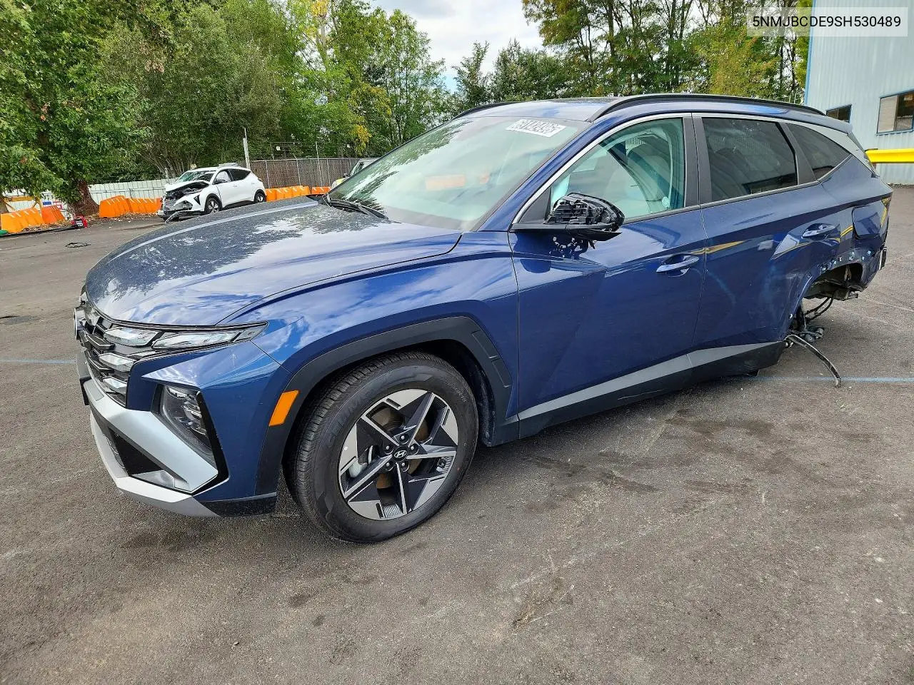HYUNDAI TUCSON 2025, VIN 5NMJBCDE9SH530489