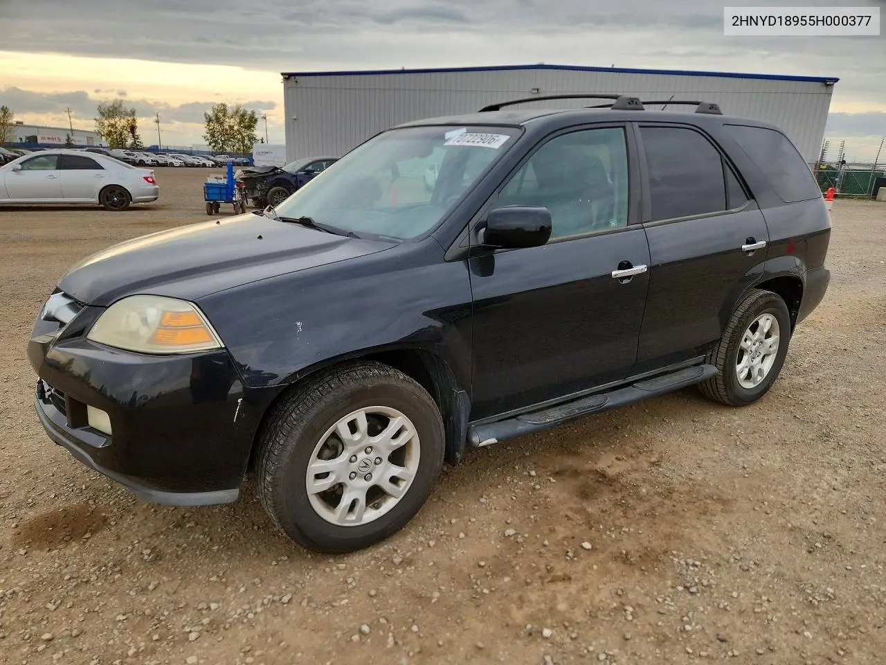 ACURA MDX 2005, VIN 2HNYD18955H000377