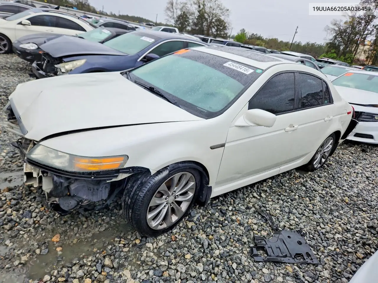 ACURA TL 2005, VIN 19UUA66205A036459
