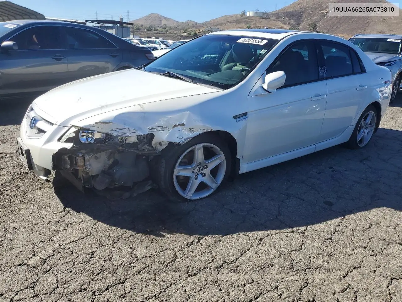 ACURA TL 2005, VIN 19UUA66265A073810