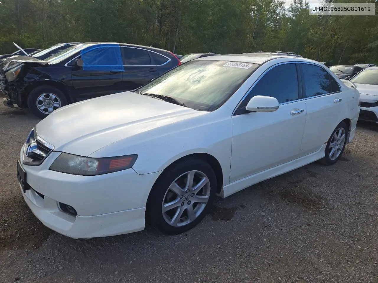 ACURA TSX 2005, VIN JH4CL96825C801619