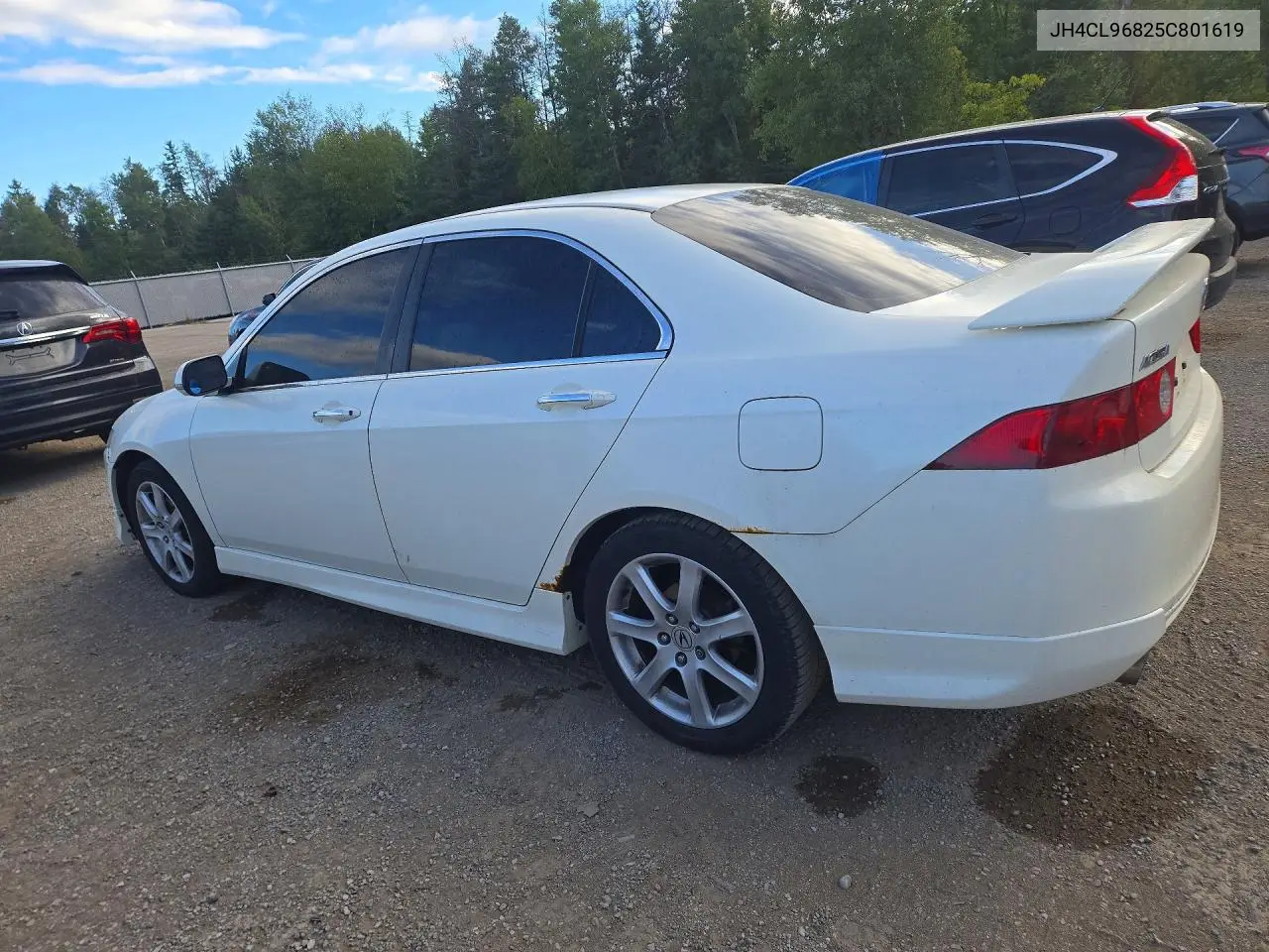 2005 ACURA TSX VIN JH4CL96825C801619 — фото 2