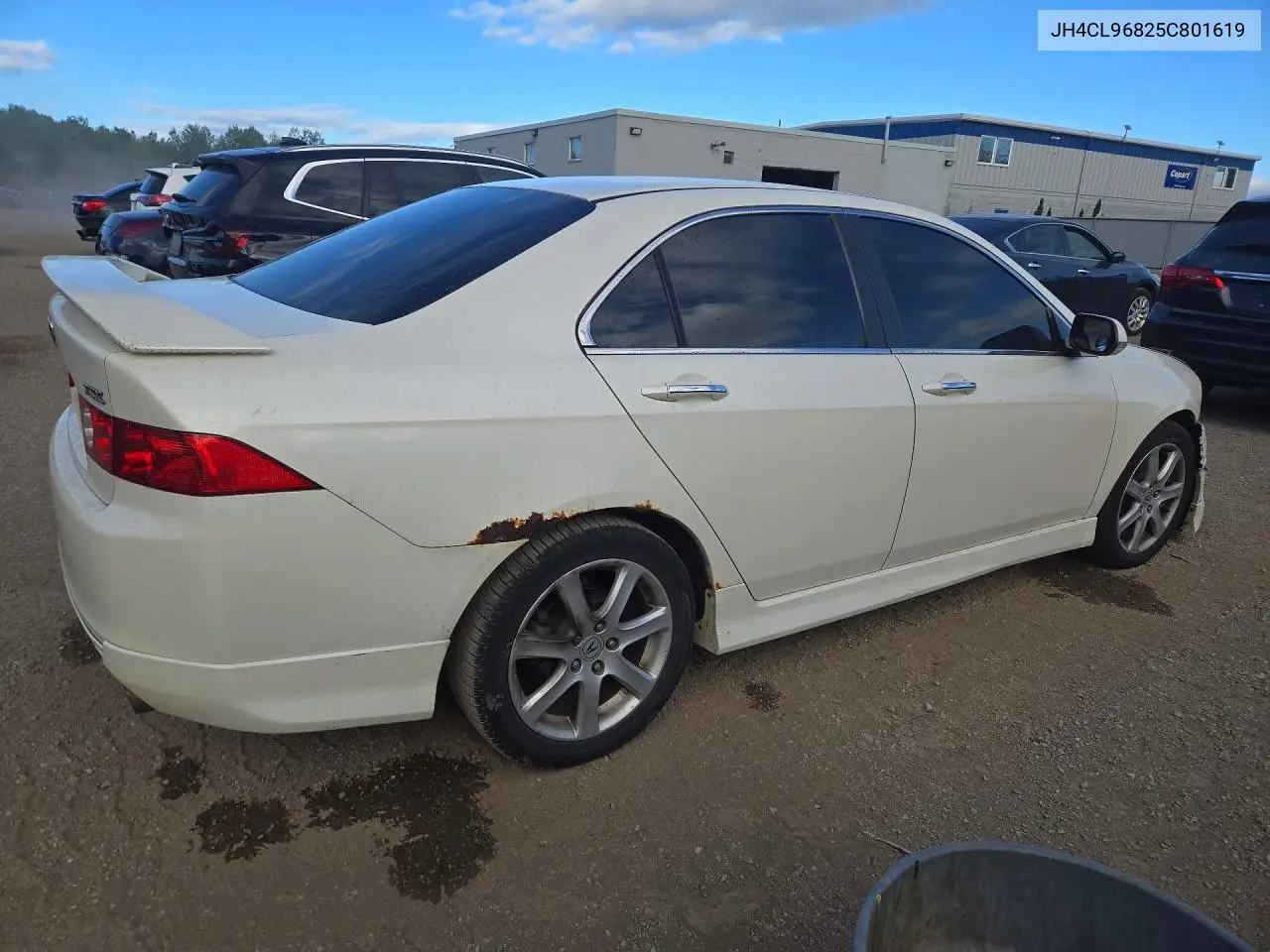 2005 ACURA TSX VIN JH4CL96825C801619 — фото 3