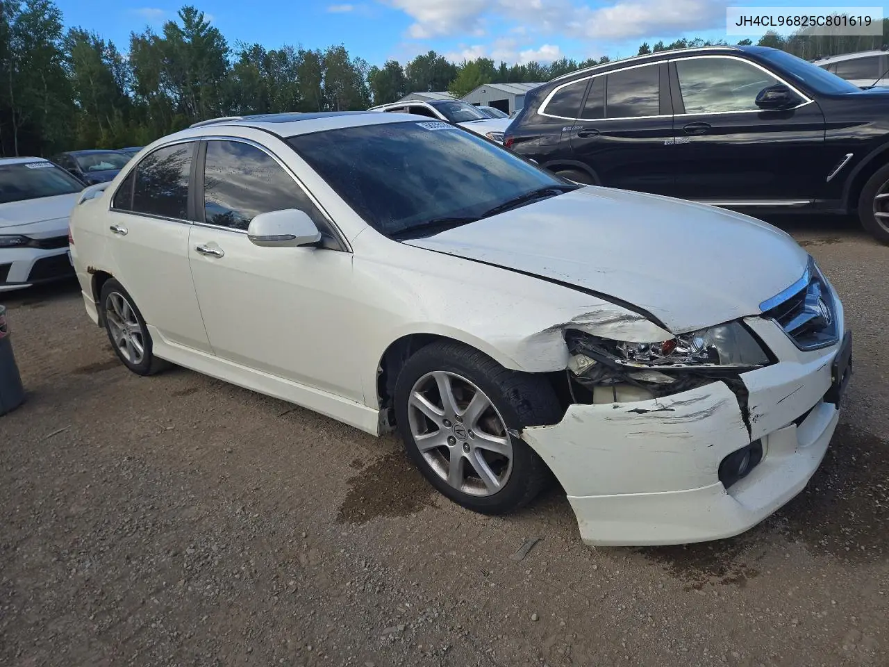 2005 ACURA TSX VIN JH4CL96825C801619 — фото 4