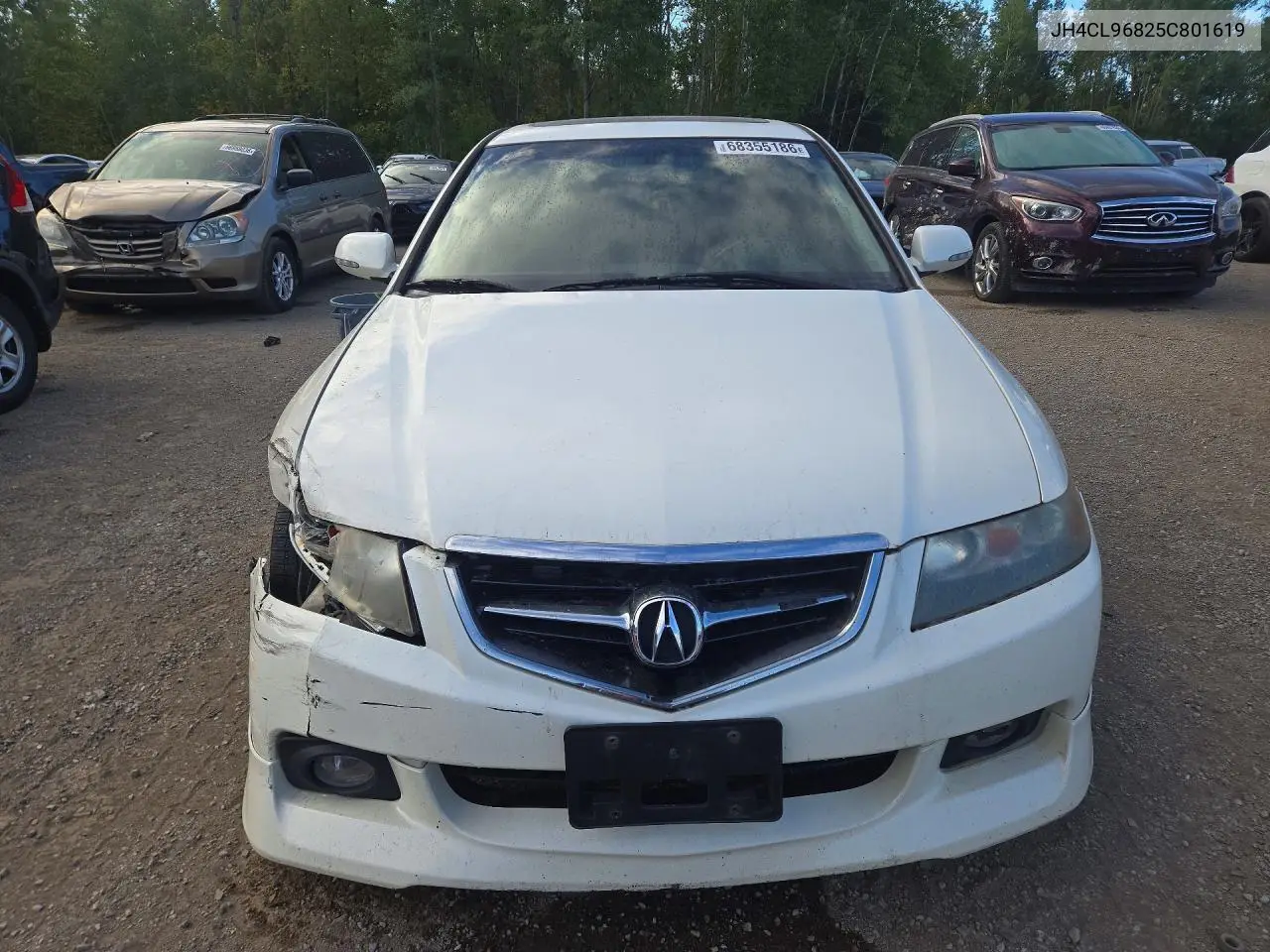 2005 ACURA TSX VIN JH4CL96825C801619 — фото 5