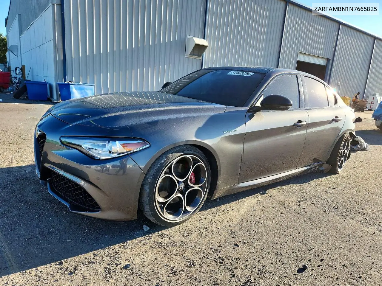 ALFA ROMEO GIULIA 2022, VIN ZARFAMBN1N7665825