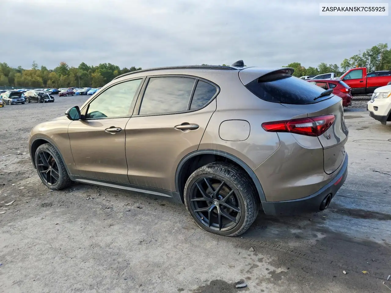 2019 ALFA ROMEO STELVIO VIN ZASPAKAN5K7C55925 — фото 2