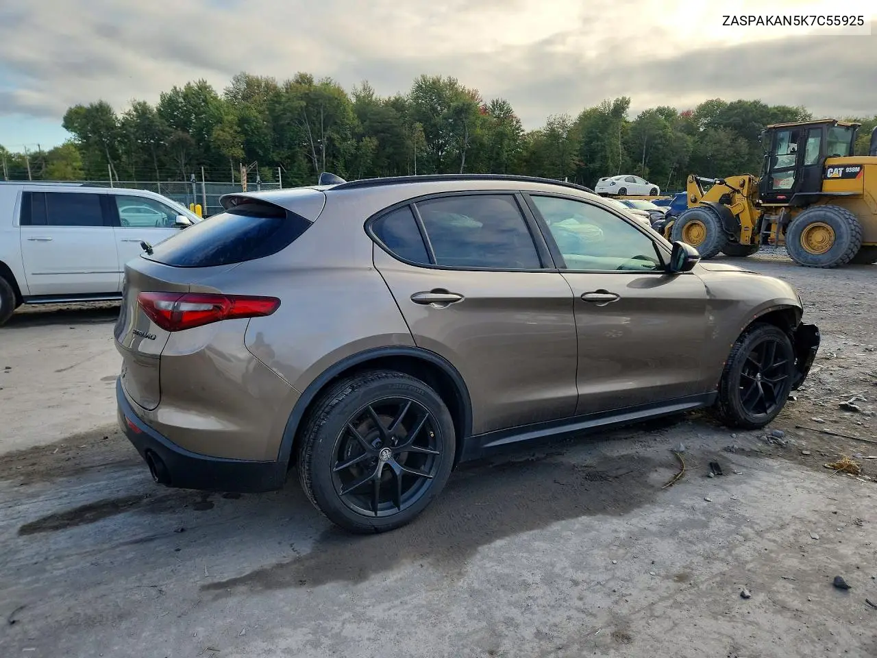 2019 ALFA ROMEO STELVIO VIN ZASPAKAN5K7C55925 — фото 3