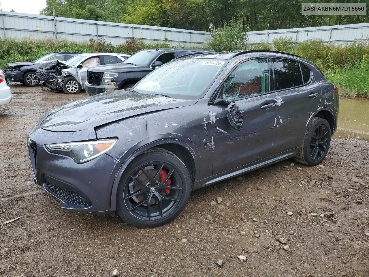 ALFA ROMEO STELVIO 2021, VIN ZASPAKBN6M7D15650