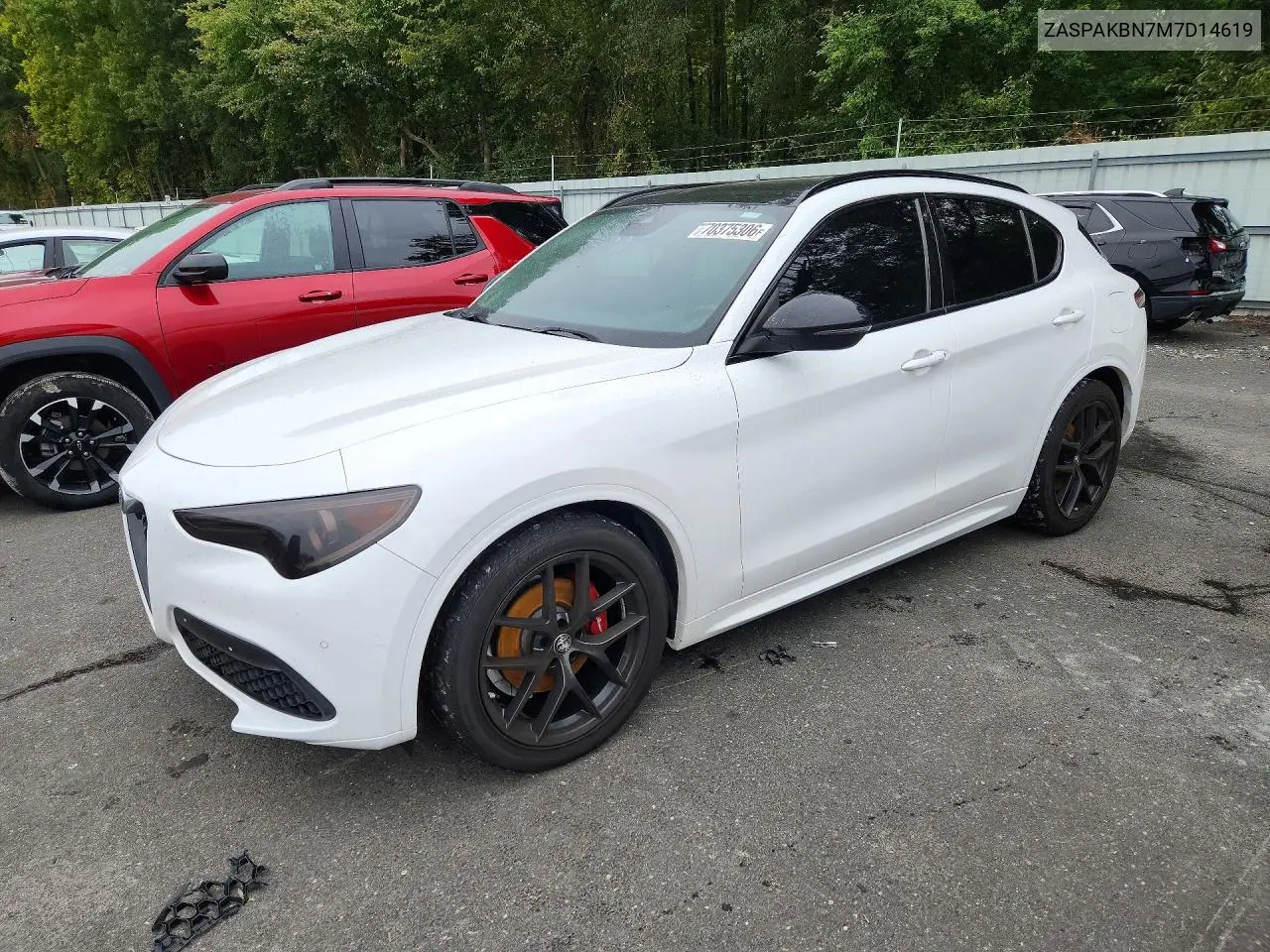 ALFA ROMEO STELVIO 2021, VIN ZASPAKBN7M7D14619