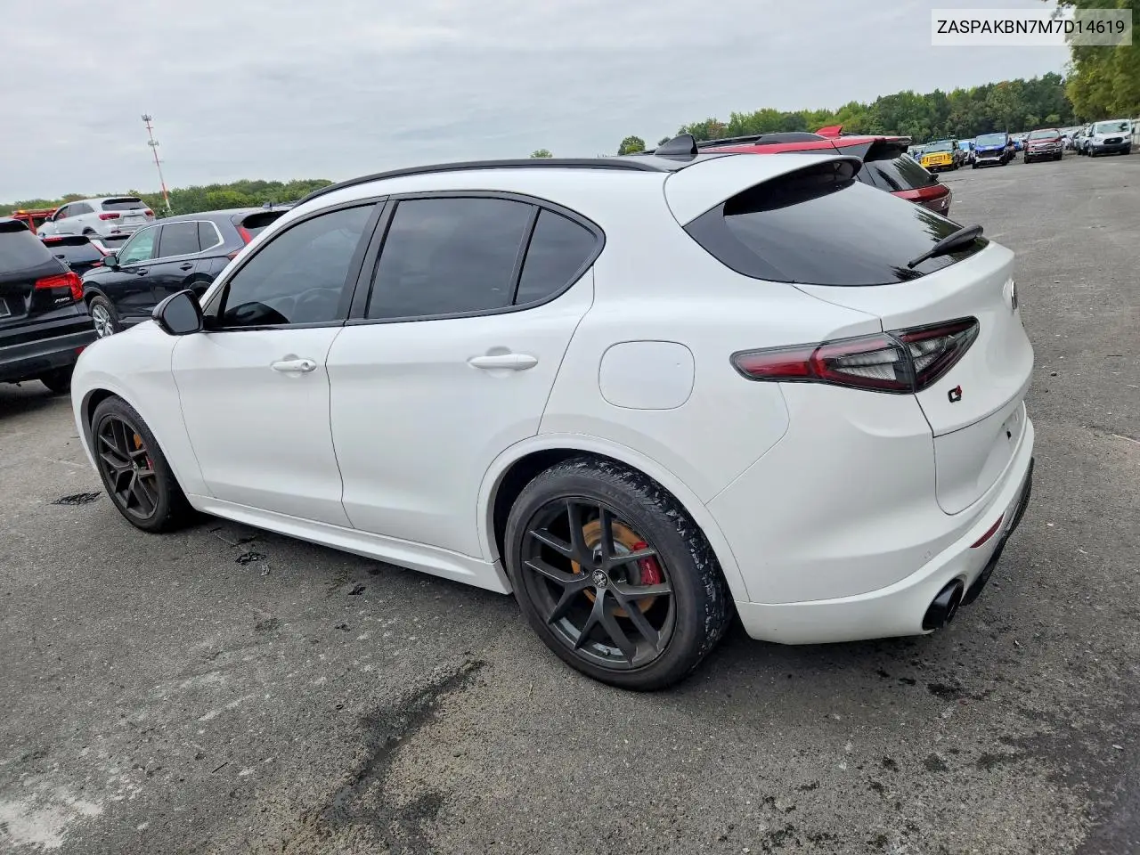 2021 ALFA ROMEO STELVIO VIN ZASPAKBN7M7D14619 — фото 2