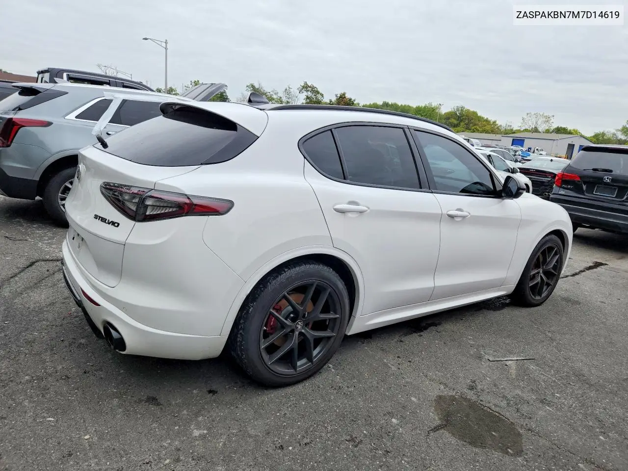 2021 ALFA ROMEO STELVIO VIN ZASPAKBN7M7D14619 — фото 3