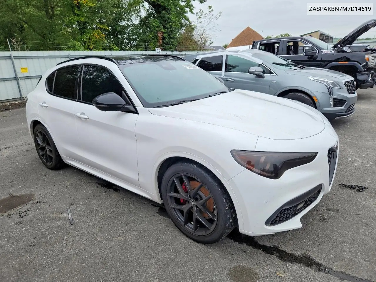 2021 ALFA ROMEO STELVIO VIN ZASPAKBN7M7D14619 — фото 4