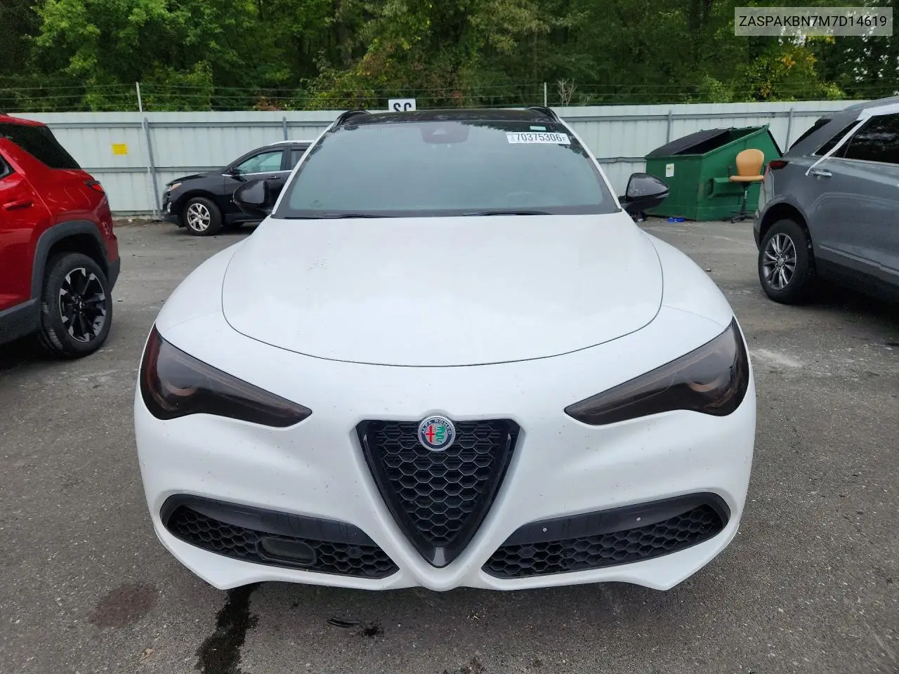 2021 ALFA ROMEO STELVIO VIN ZASPAKBN7M7D14619 — фото 5