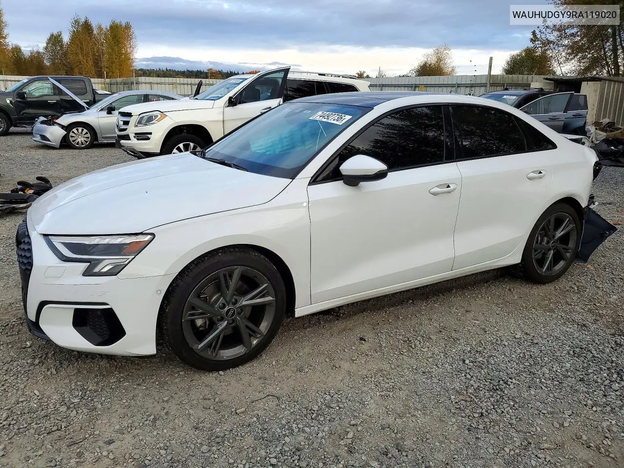 AUDI A3 2024, VIN WAUHUDGY9RA119020