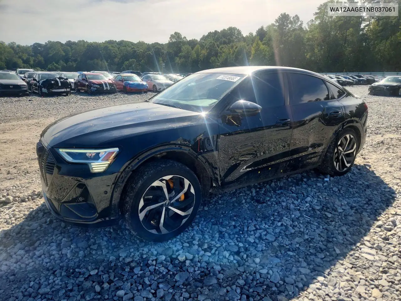 AUDI E-TRON 2022, VIN WA12AAGE1NB037061