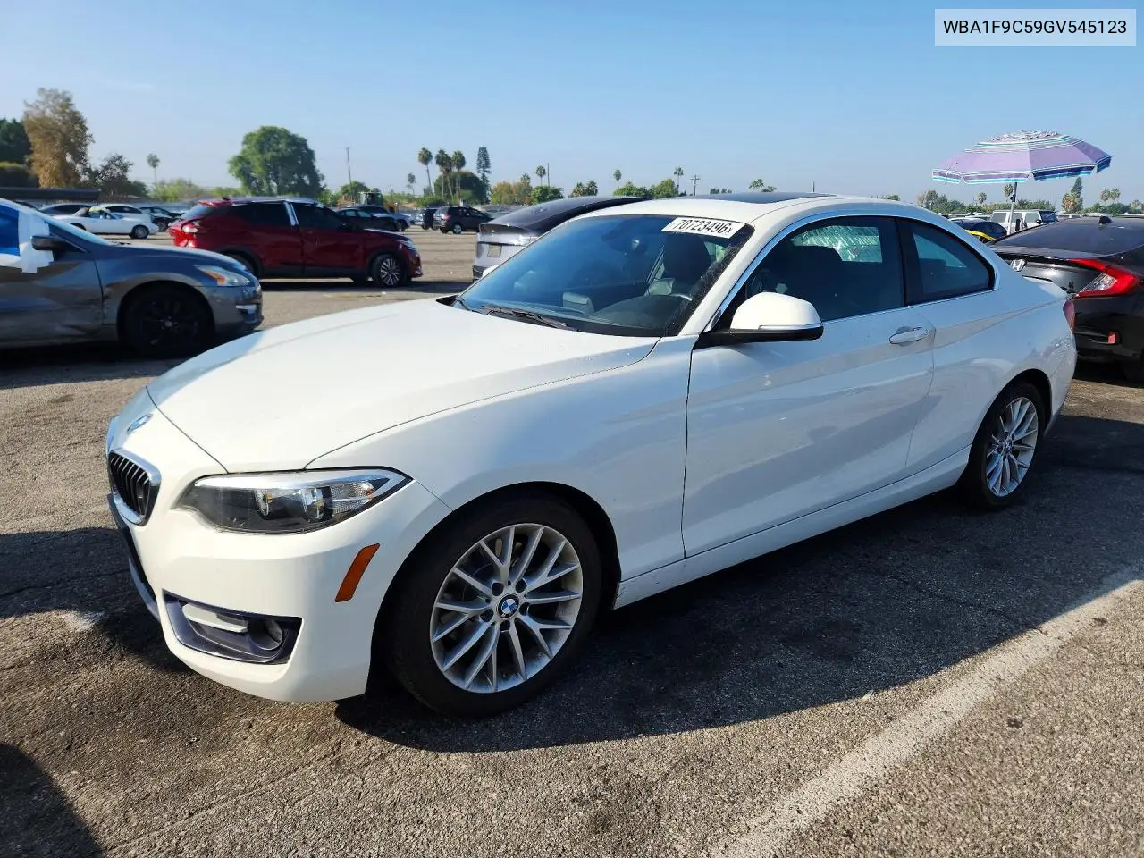 BMW 2ER 2016, VIN WBA1F9C59GV545123