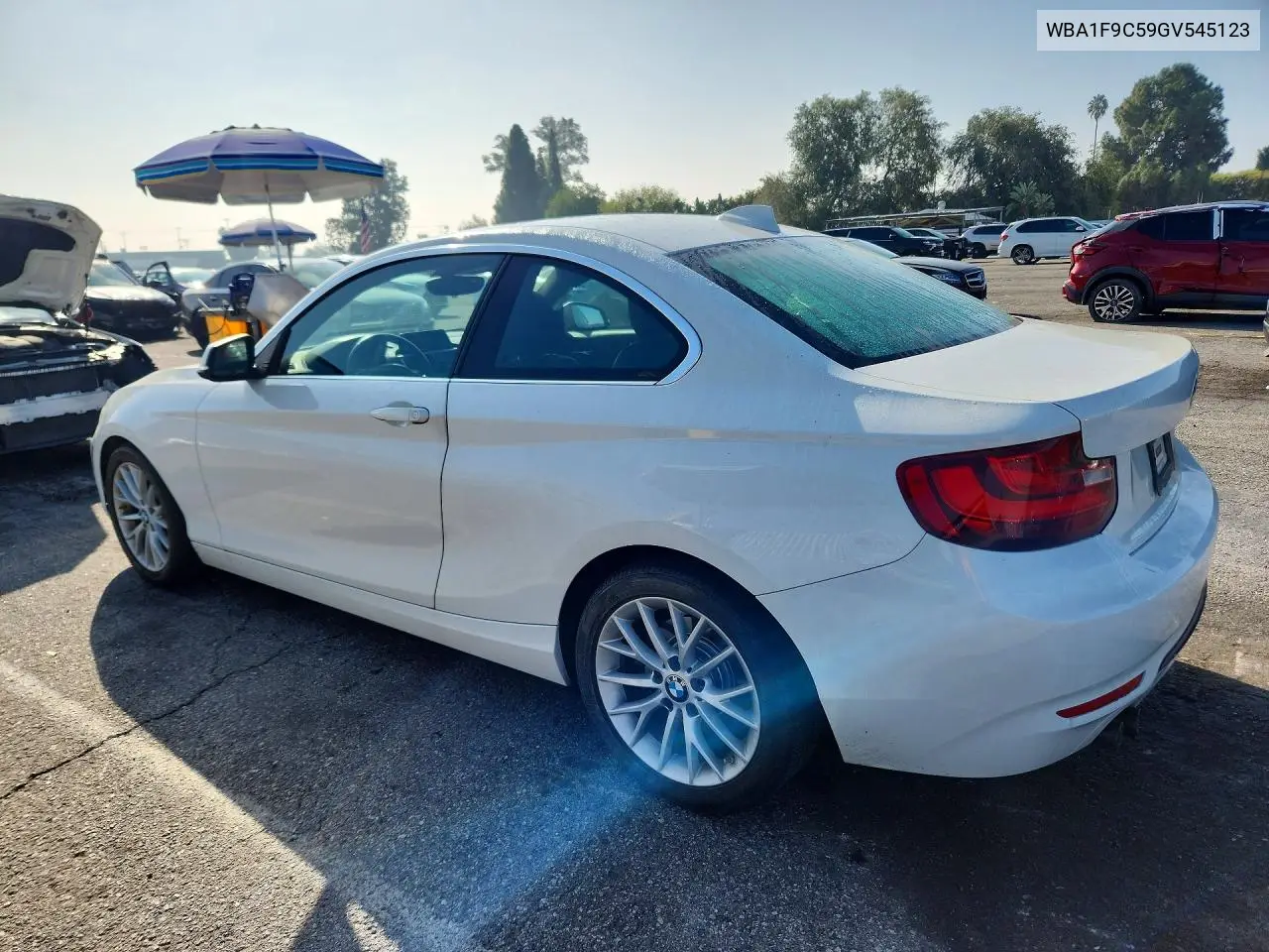 2016 BMW 2ER VIN WBA1F9C59GV545123 — фото 2