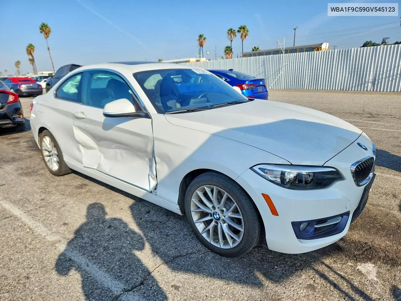 2016 BMW 2ER VIN WBA1F9C59GV545123 — фото 4