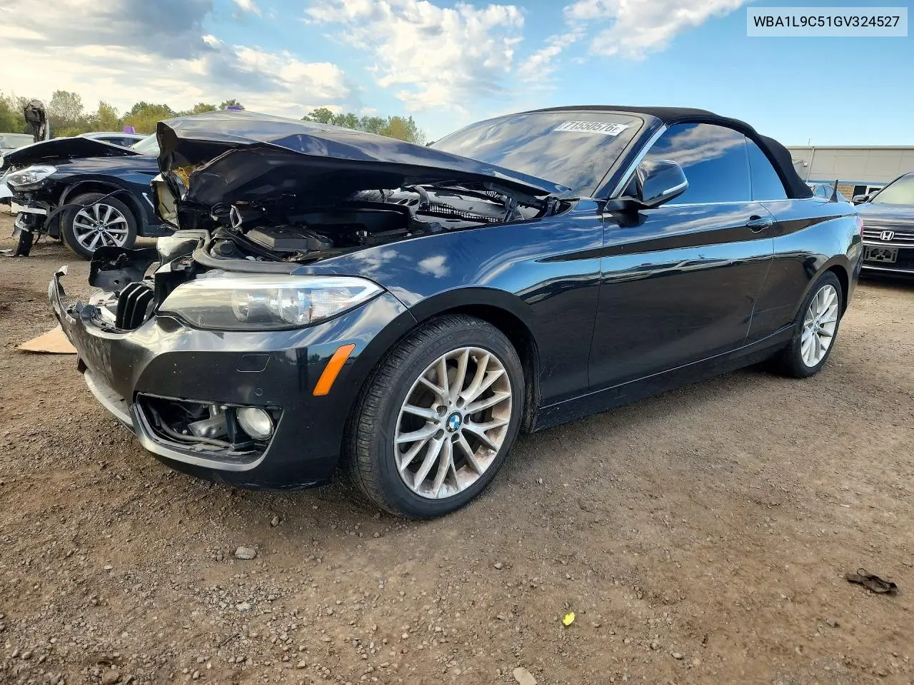 BMW 2ER 2016, VIN WBA1L9C51GV324527