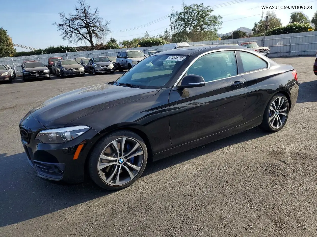 BMW 2ER 2018, VIN WBA2J1C59JVD09523