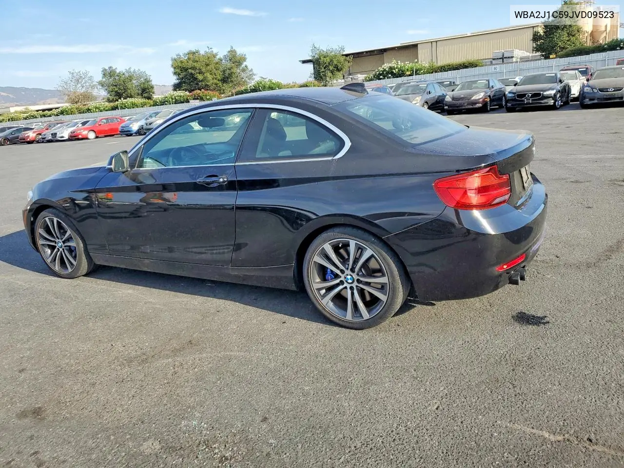 2018 BMW 2ER VIN WBA2J1C59JVD09523 — фото 2