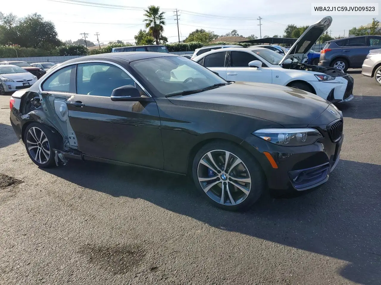 2018 BMW 2ER VIN WBA2J1C59JVD09523 — фото 4