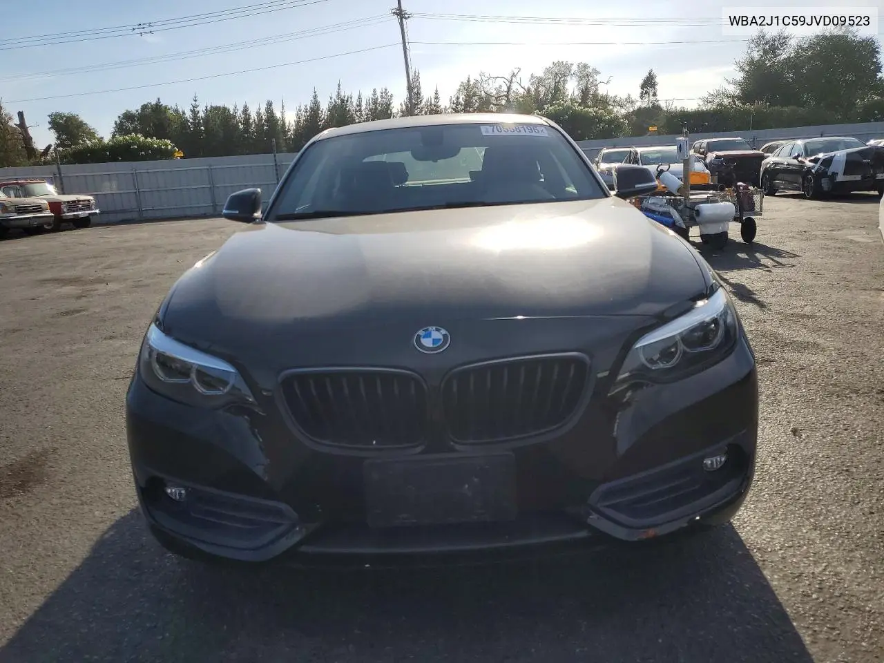 2018 BMW 2ER VIN WBA2J1C59JVD09523 — фото 5