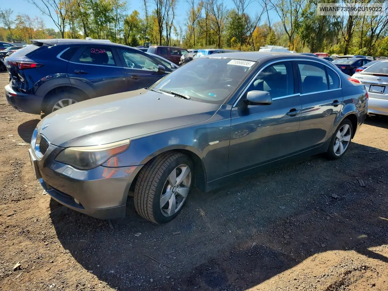 BMW 5ER 2006, VIN WBANF73596CU19022