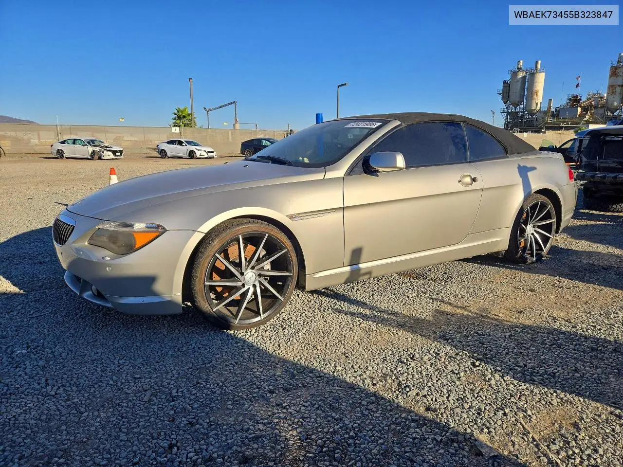 BMW 6ER 2005, VIN WBAEK73455B323847