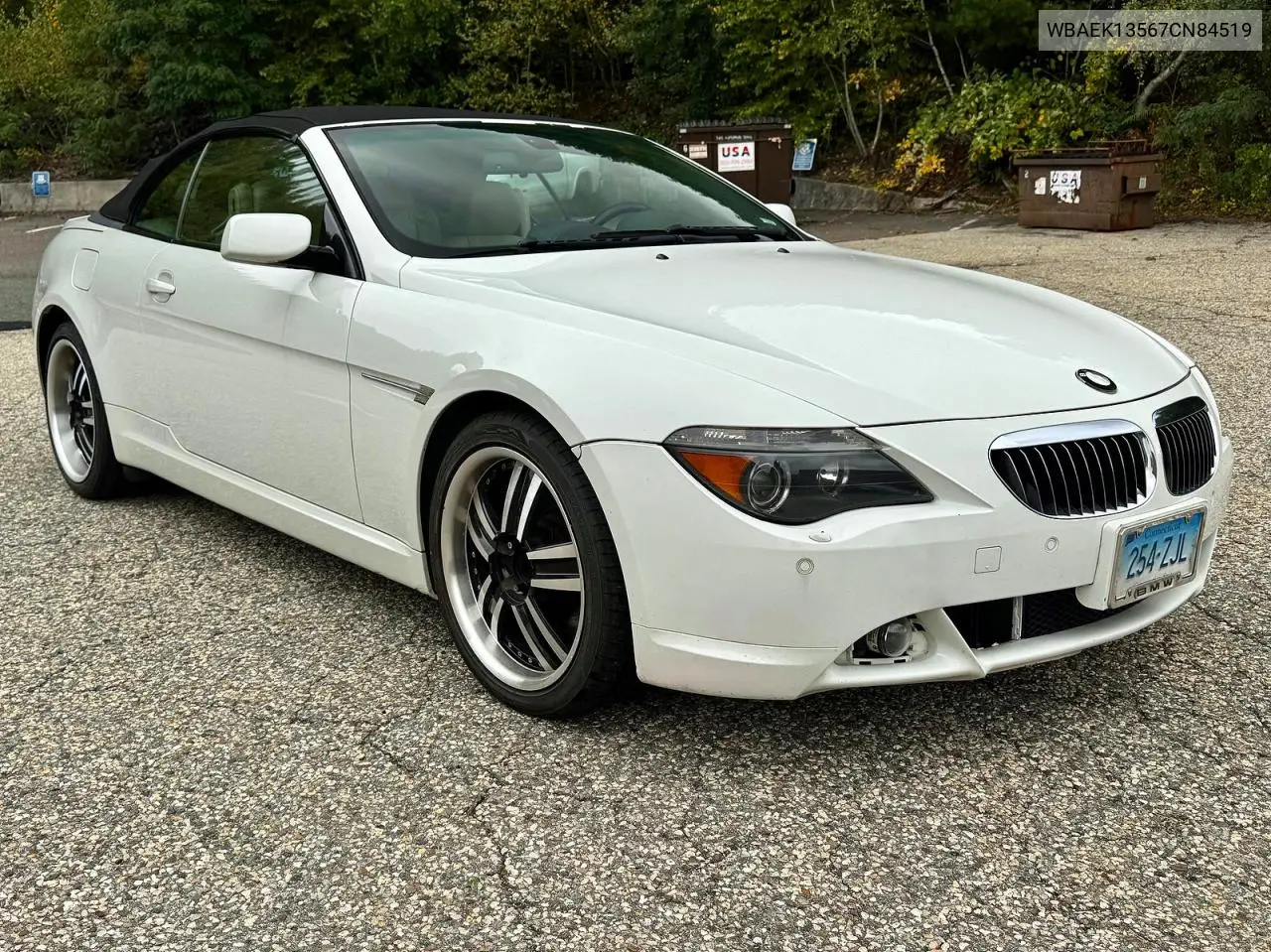 BMW 6ER 2007, VIN WBAEK13567CN84519