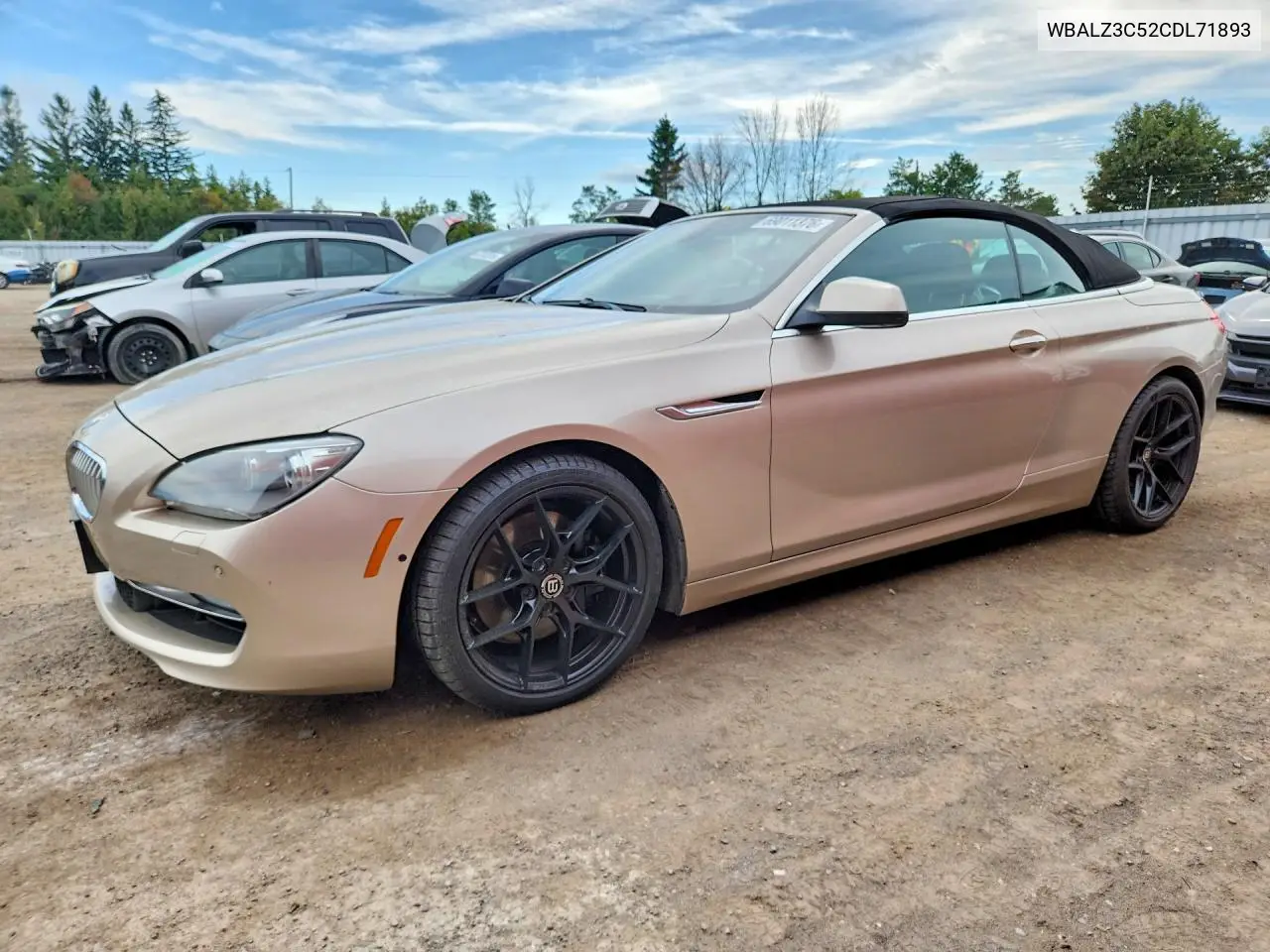 BMW 6ER 2012, VIN WBALZ3C52CDL71893