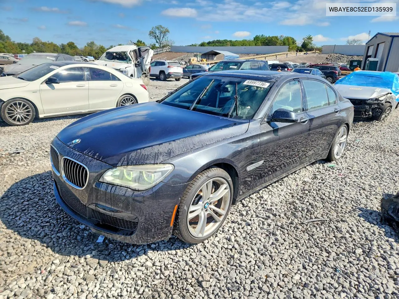 BMW 7ER 2014, VIN WBAYE8C52ED135939