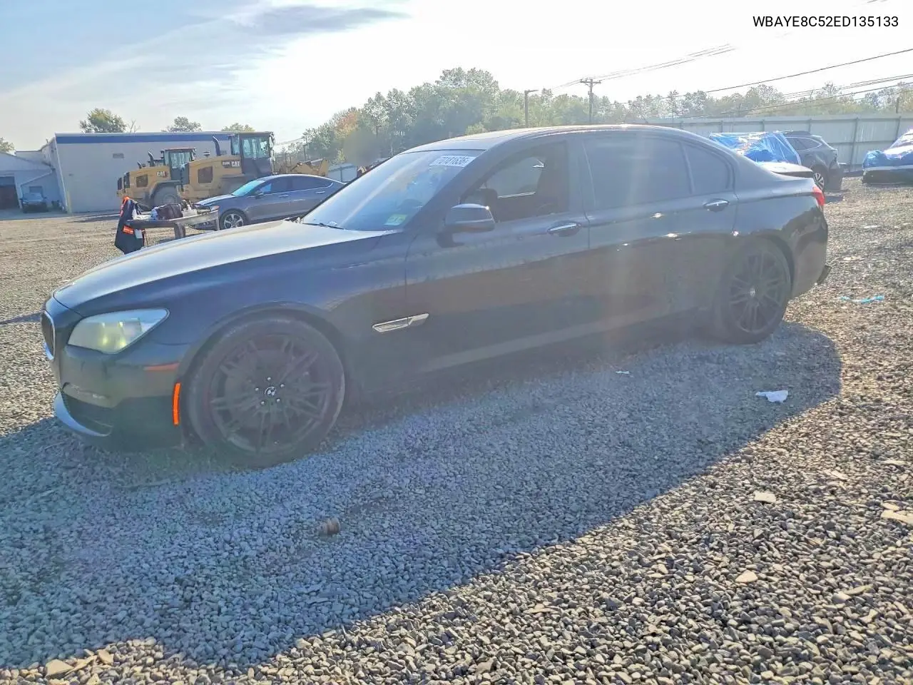 BMW 7ER 2014, VIN WBAYE8C52ED135133