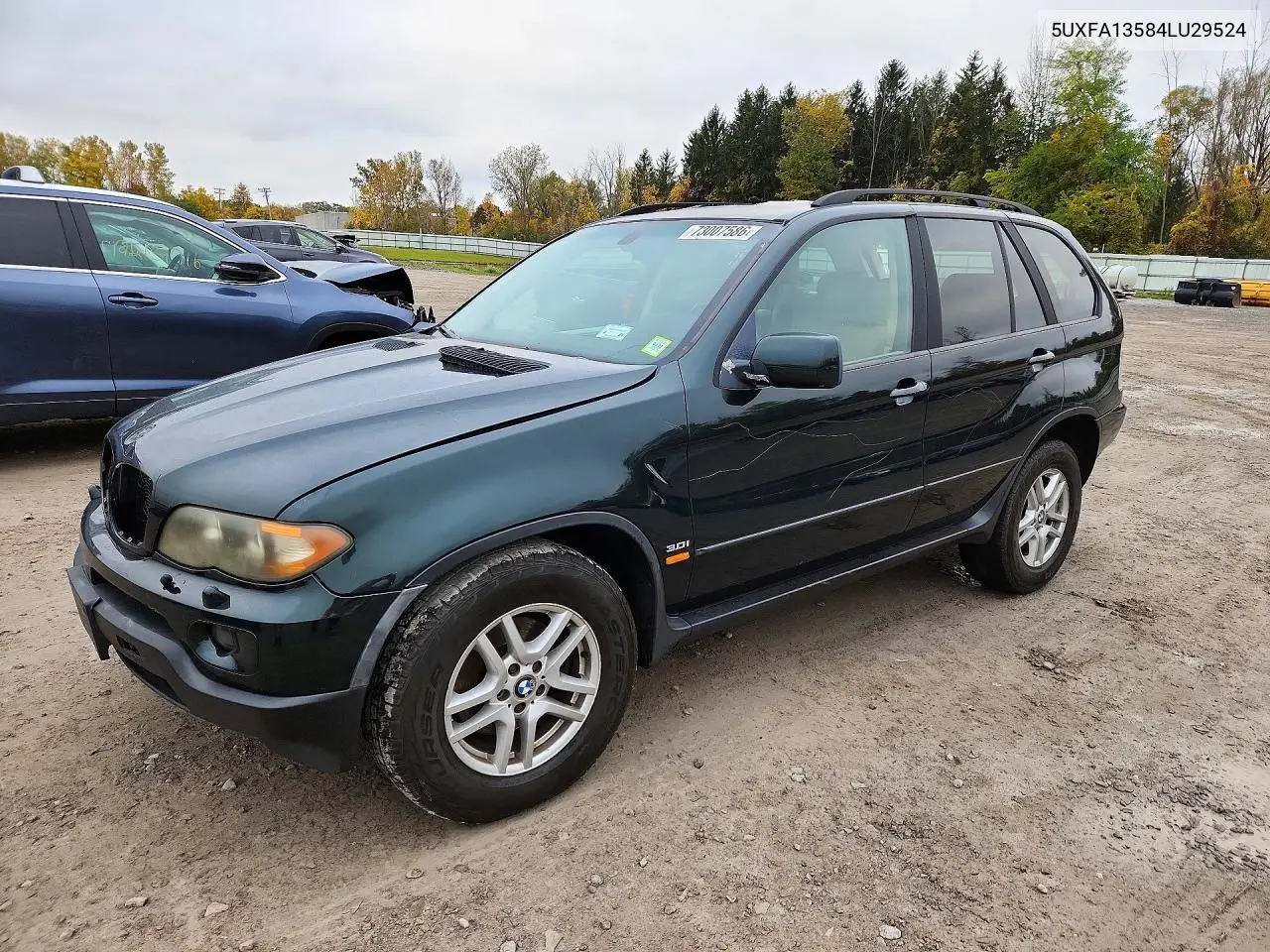BMW X5 2004, VIN 5UXFA13584LU29524
