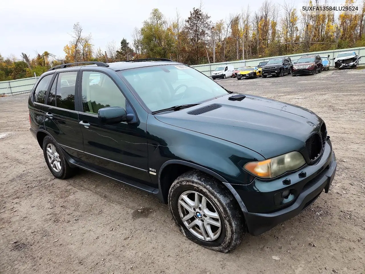 2004 BMW X5 VIN 5UXFA13584LU29524 — фото 4