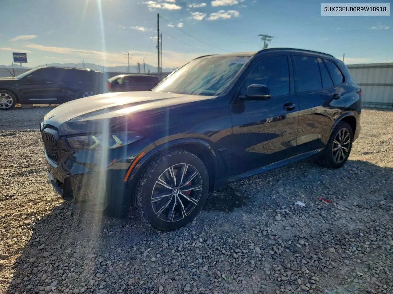 BMW X5 2024, VIN 5UX23EU00R9W18918