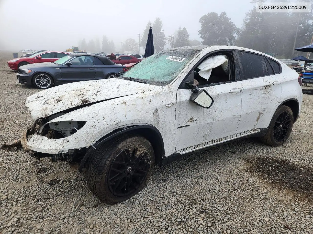 BMW X6 2009, VIN 5UXFG43539L225009