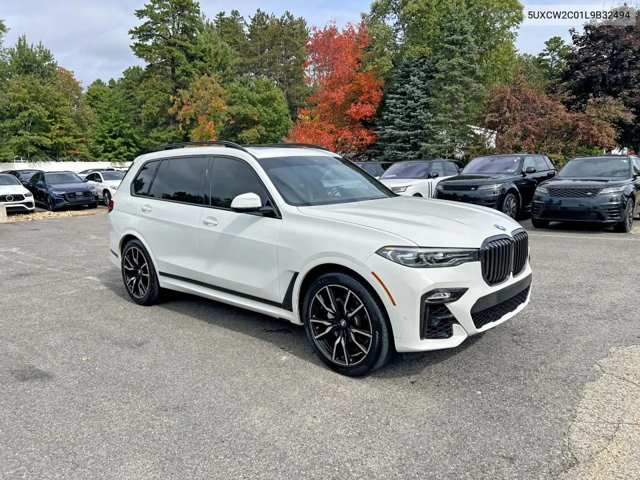 BMW X7 2020, VIN 5UXCW2C01L9B32494
