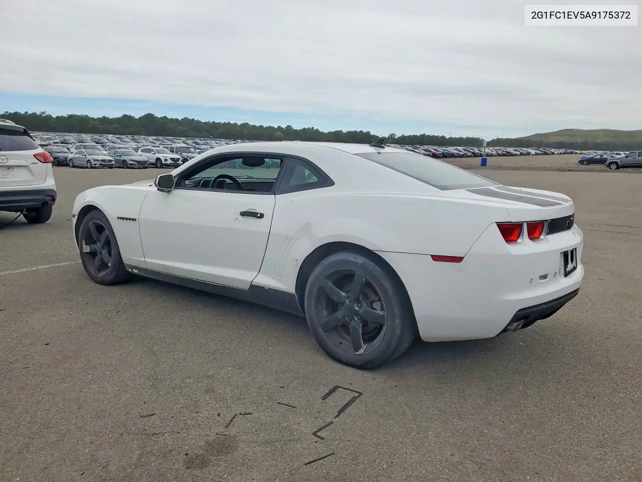 2010 CHEVROLET CAMARO VIN 2G1FC1EV5A9175372 — фото 2