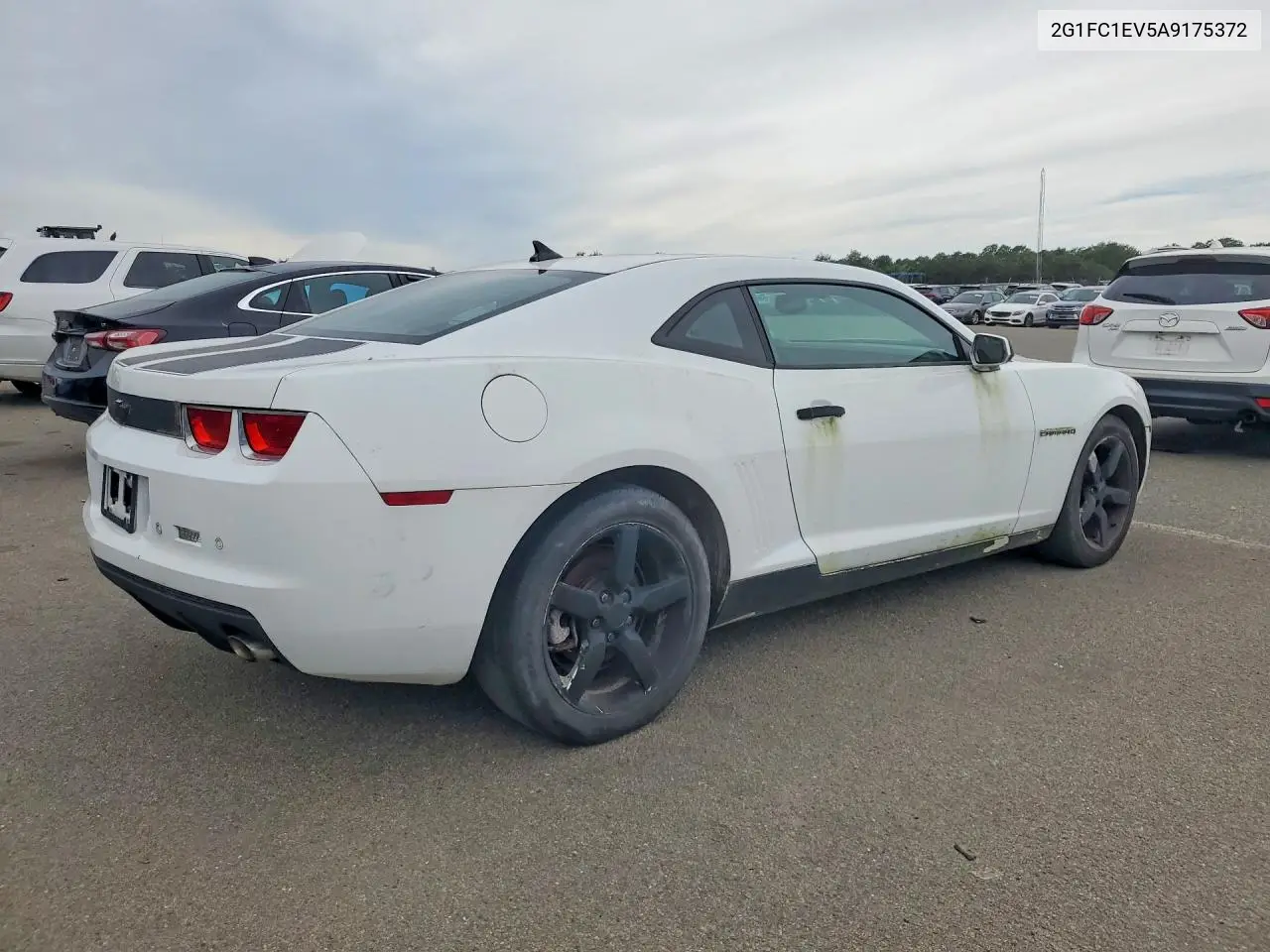 2010 CHEVROLET CAMARO VIN 2G1FC1EV5A9175372 — фото 3