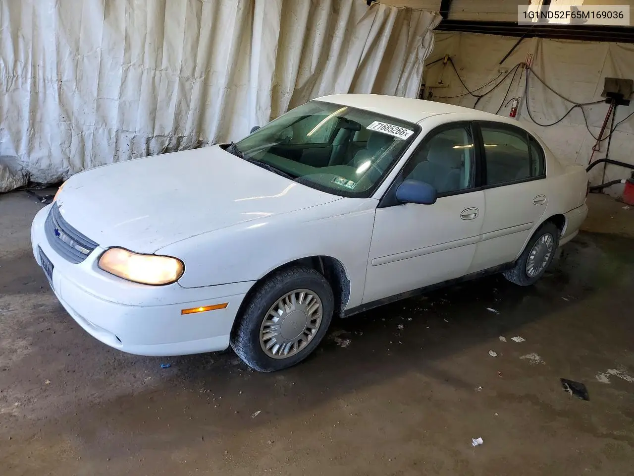 CHEVROLET CLASSIC 2005, VIN 1G1ND52F65M169036