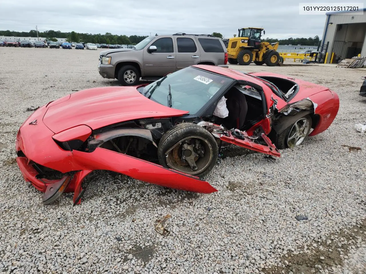 CHEVROLET CORVETTE 2002, VIN 1G1YY22G125117201