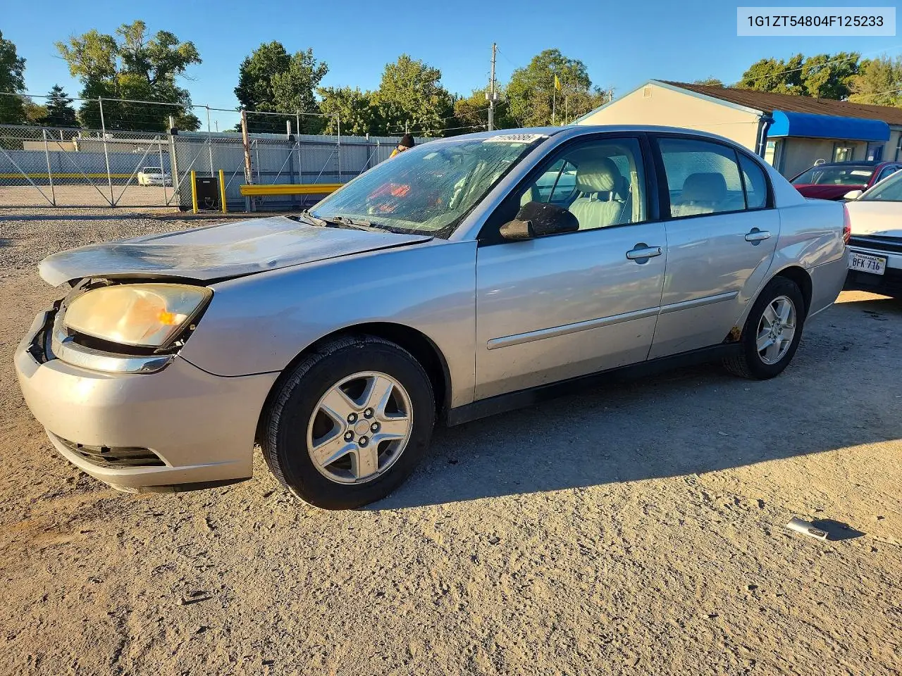 CHEVROLET MALIBU 2004, VIN 1G1ZT54804F125233