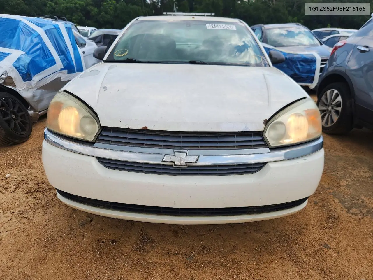 2005 CHEVROLET MALIBU VIN 1G1ZS52F95F216166 — фото 5